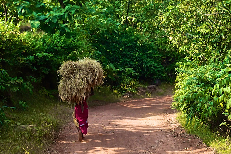 India